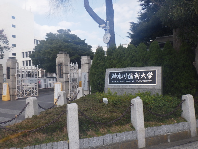 神奈川歯科大学