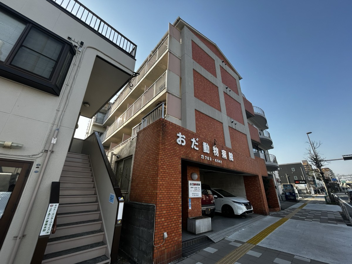 外観