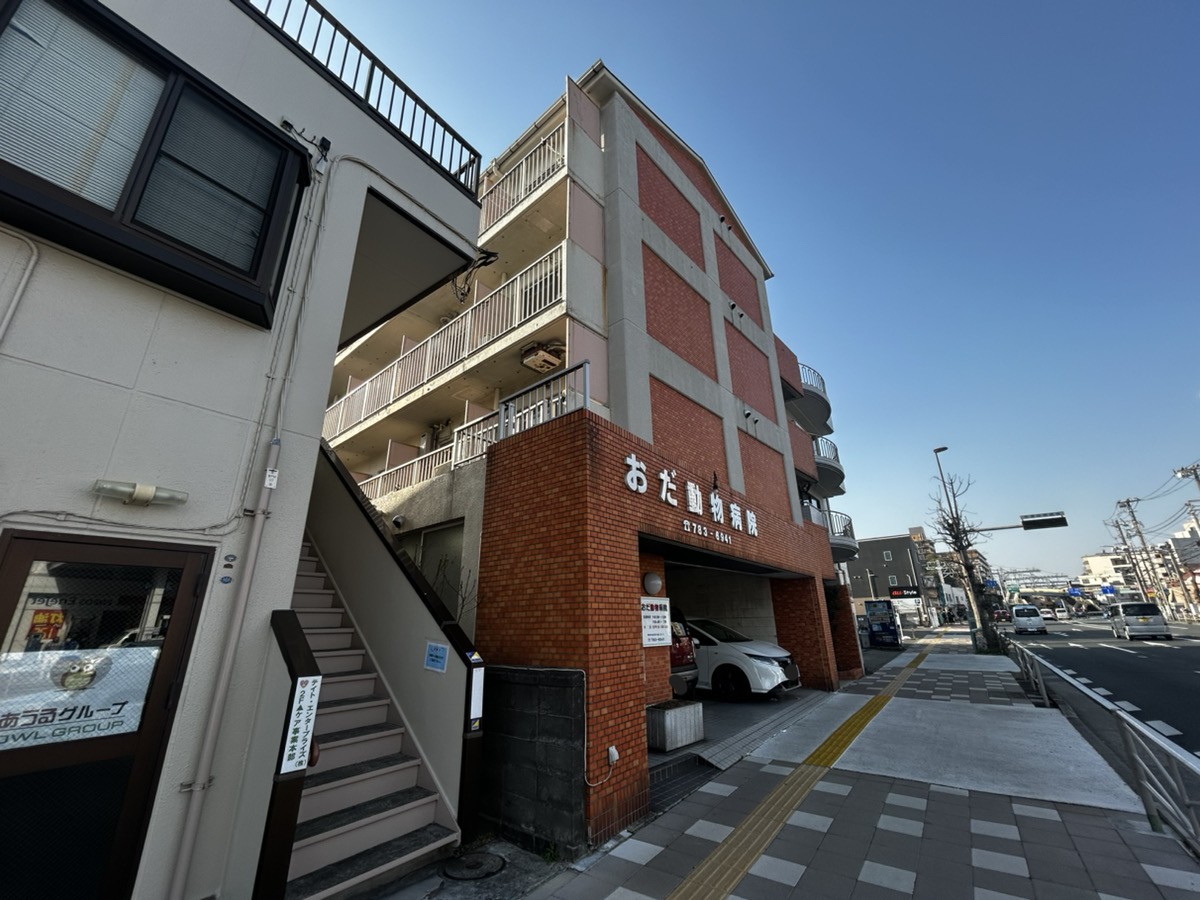 外観