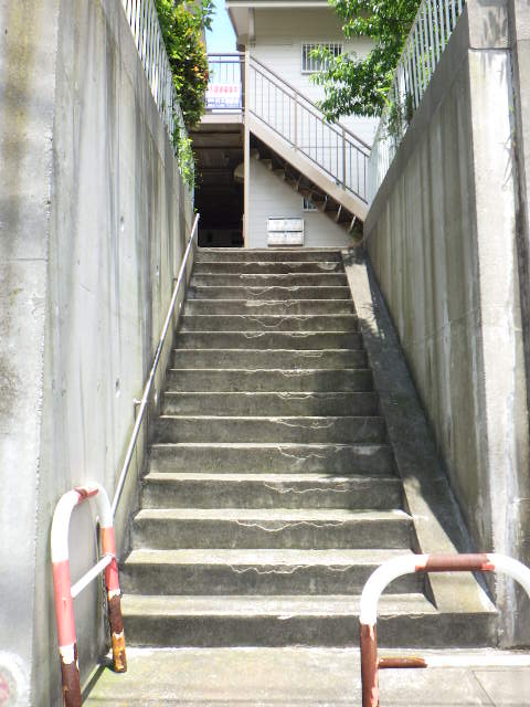 共用