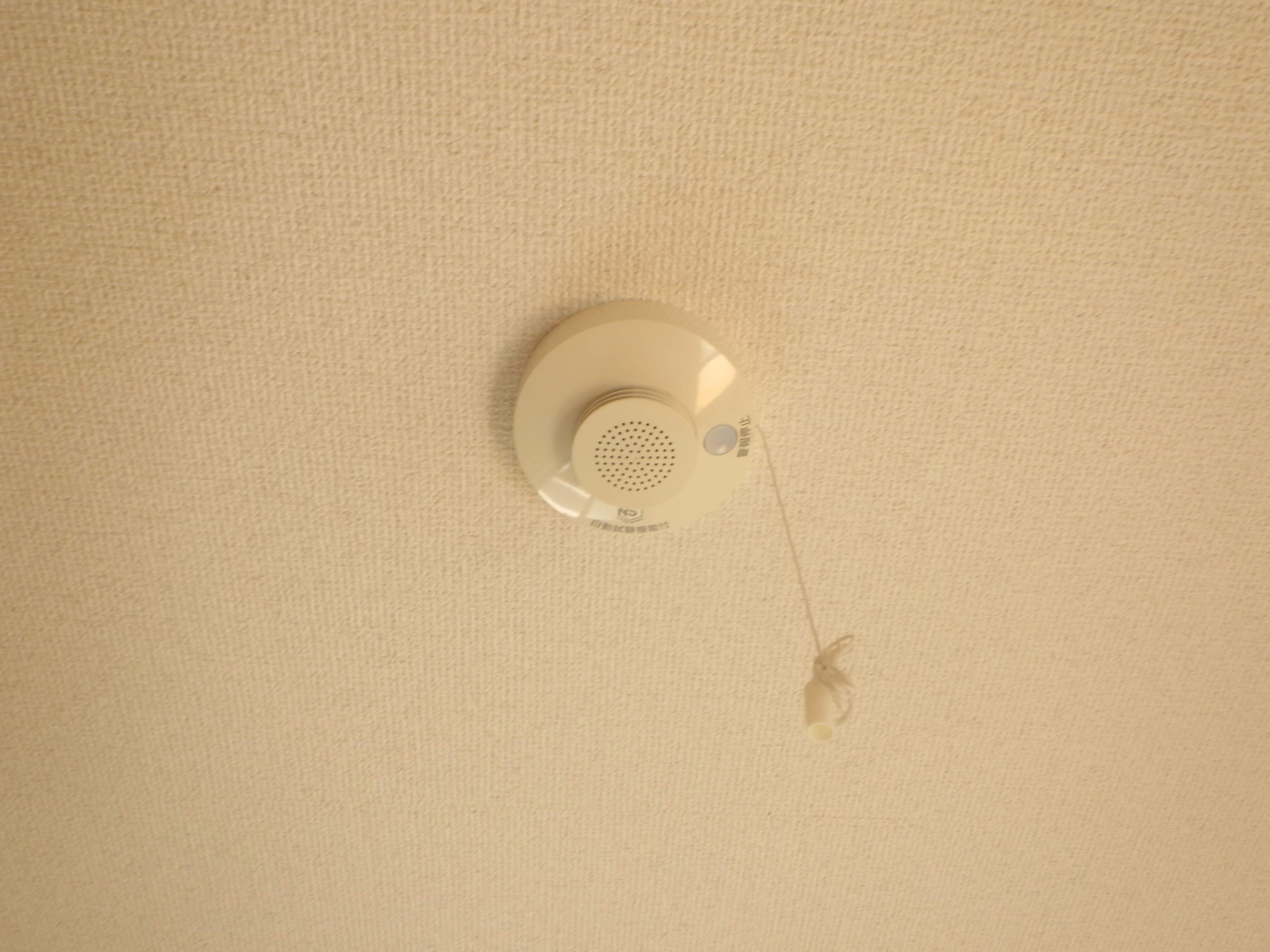 内装