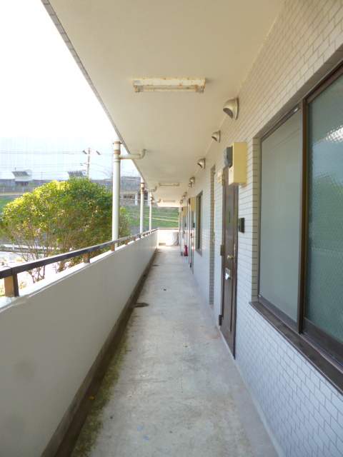共用