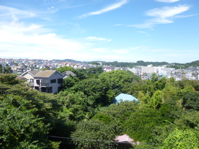 共用